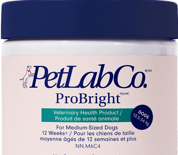 Probright  Product Image