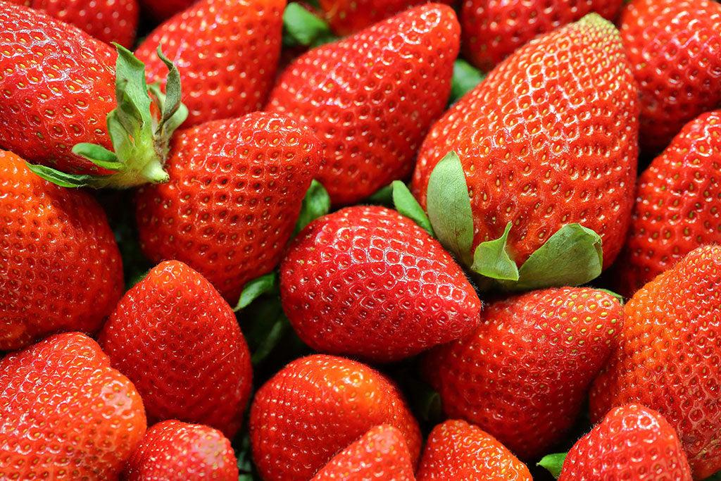 Can Dogs Eat Strawberries?
