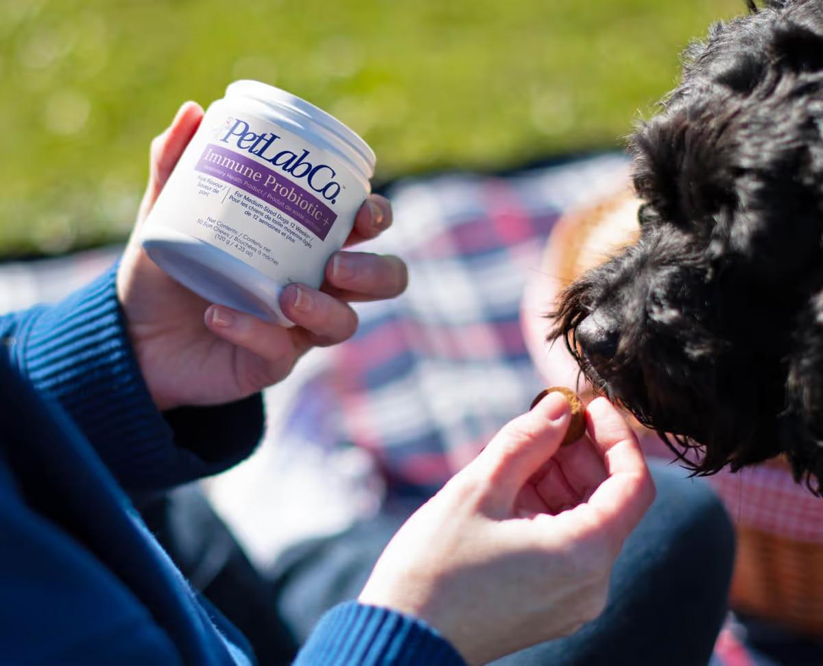 PetLab Co. Immune Probiotic + Reviews: What Customers Think